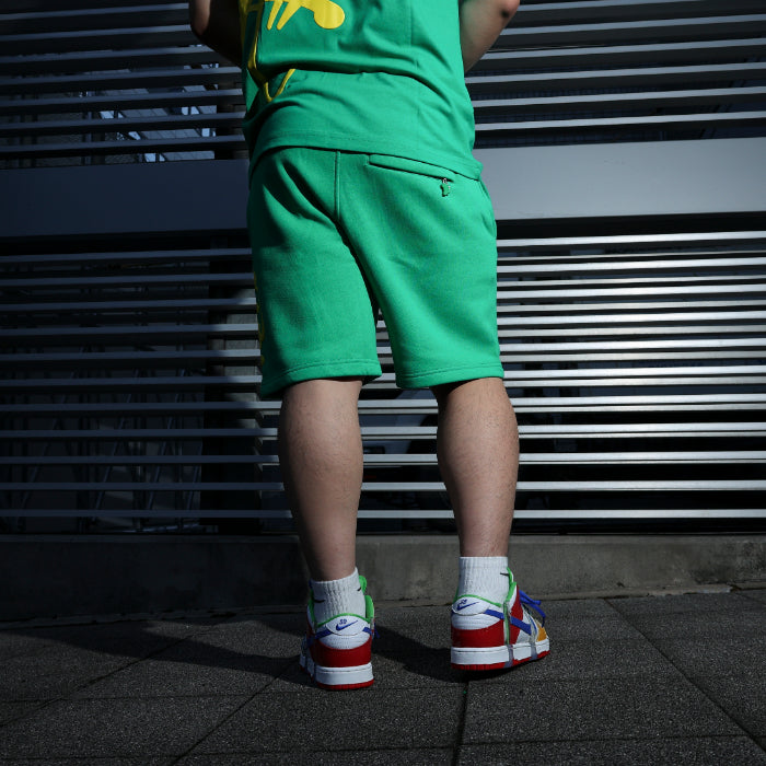 SYNA WORLD / シナワールド チーム シナ ハーフパンツ 501teamsynahpt