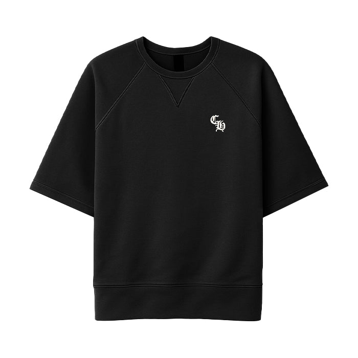 クロムハーツ　トレーナー　半袖 Chrome Hearts - 【極美品】CHROME HEARTS Tシャツ 白 半袖 ホース